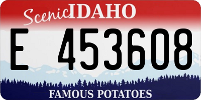 ID license plate E453608