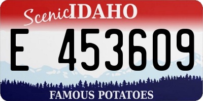 ID license plate E453609