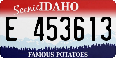 ID license plate E453613