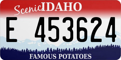 ID license plate E453624