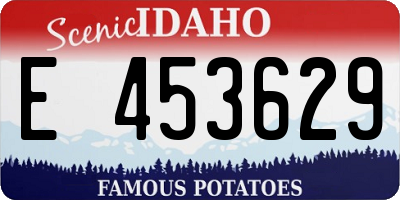 ID license plate E453629
