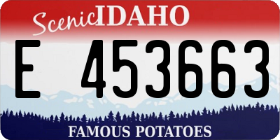 ID license plate E453663