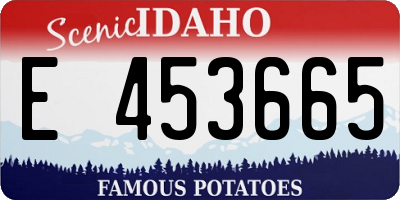 ID license plate E453665