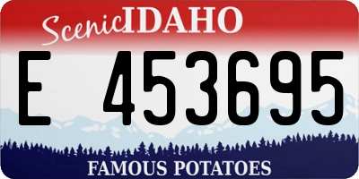 ID license plate E453695