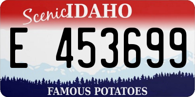 ID license plate E453699