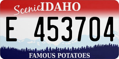 ID license plate E453704