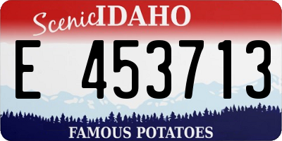 ID license plate E453713