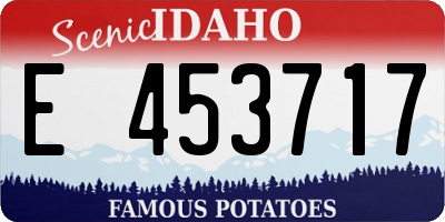 ID license plate E453717