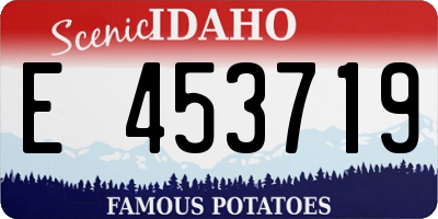 ID license plate E453719
