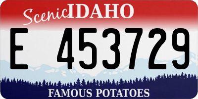ID license plate E453729