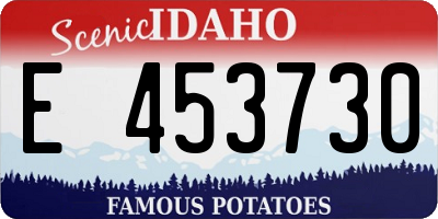 ID license plate E453730