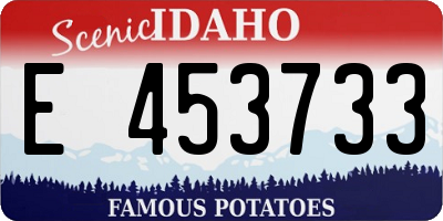 ID license plate E453733