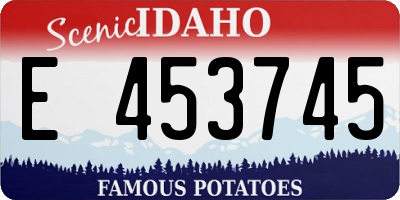 ID license plate E453745