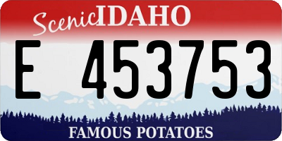 ID license plate E453753