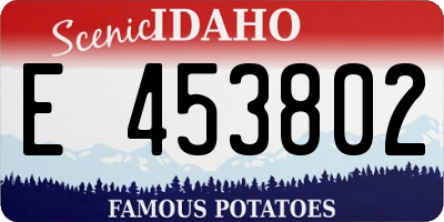 ID license plate E453802