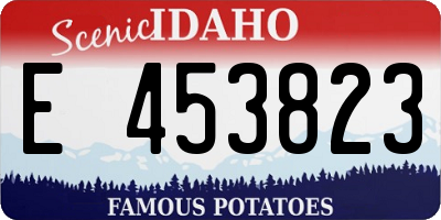 ID license plate E453823
