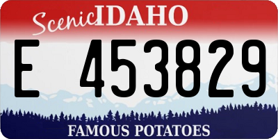 ID license plate E453829