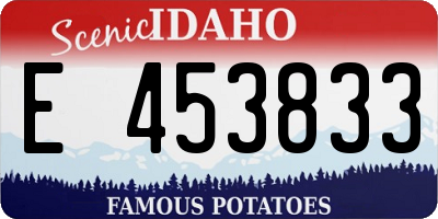 ID license plate E453833