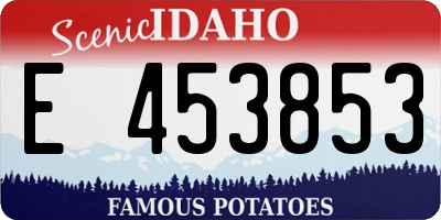 ID license plate E453853