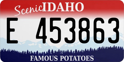 ID license plate E453863