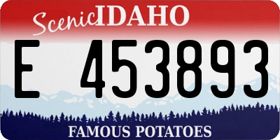 ID license plate E453893