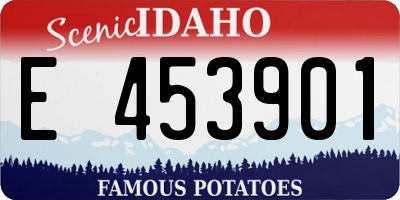 ID license plate E453901
