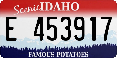 ID license plate E453917