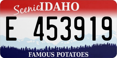 ID license plate E453919