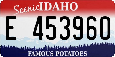 ID license plate E453960