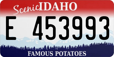 ID license plate E453993