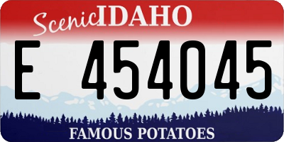 ID license plate E454045