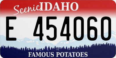 ID license plate E454060