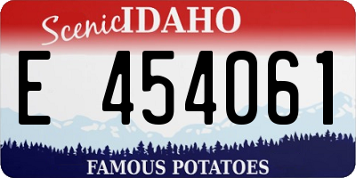 ID license plate E454061