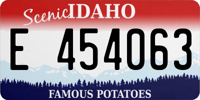 ID license plate E454063