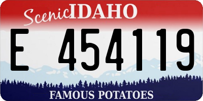 ID license plate E454119