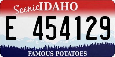 ID license plate E454129