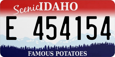 ID license plate E454154