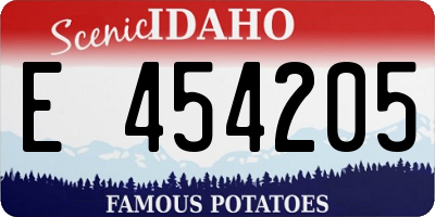 ID license plate E454205
