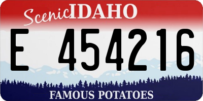 ID license plate E454216
