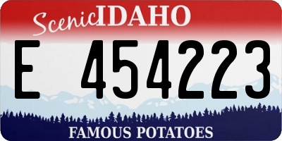 ID license plate E454223