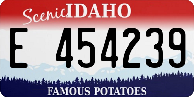 ID license plate E454239