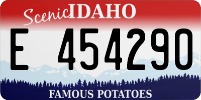 ID license plate E454290