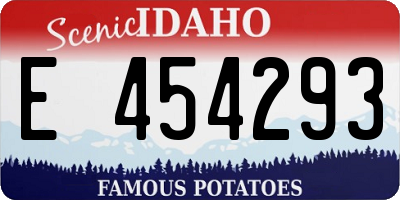 ID license plate E454293