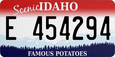 ID license plate E454294
