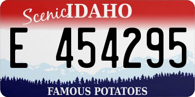 ID license plate E454295