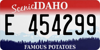 ID license plate E454299