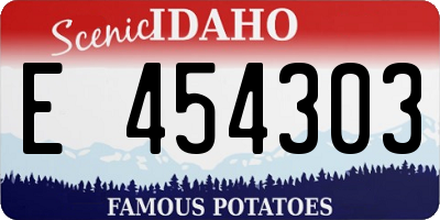 ID license plate E454303