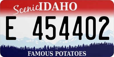 ID license plate E454402