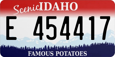 ID license plate E454417