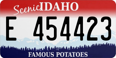 ID license plate E454423